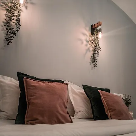 Havana * براشوف