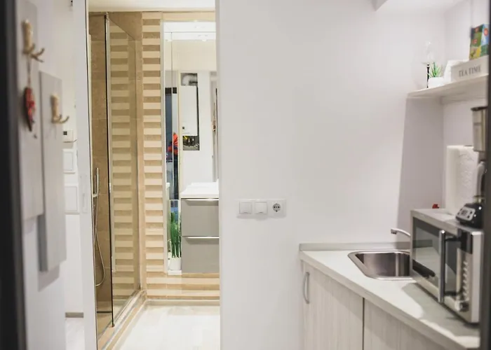 아파트 Havana 브라쇼브